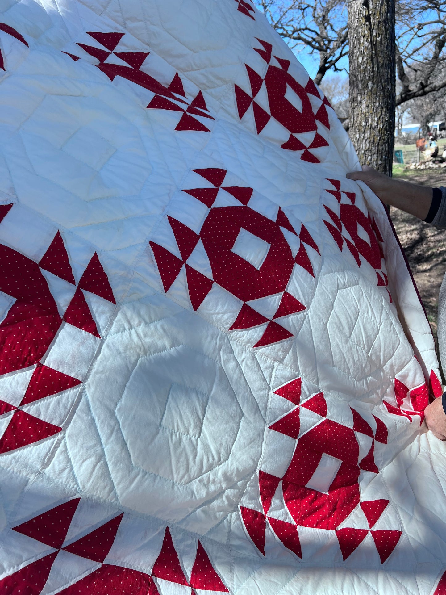 Crown of Thorns or Geese in the Pond Vintage Antique Red & White Quilt