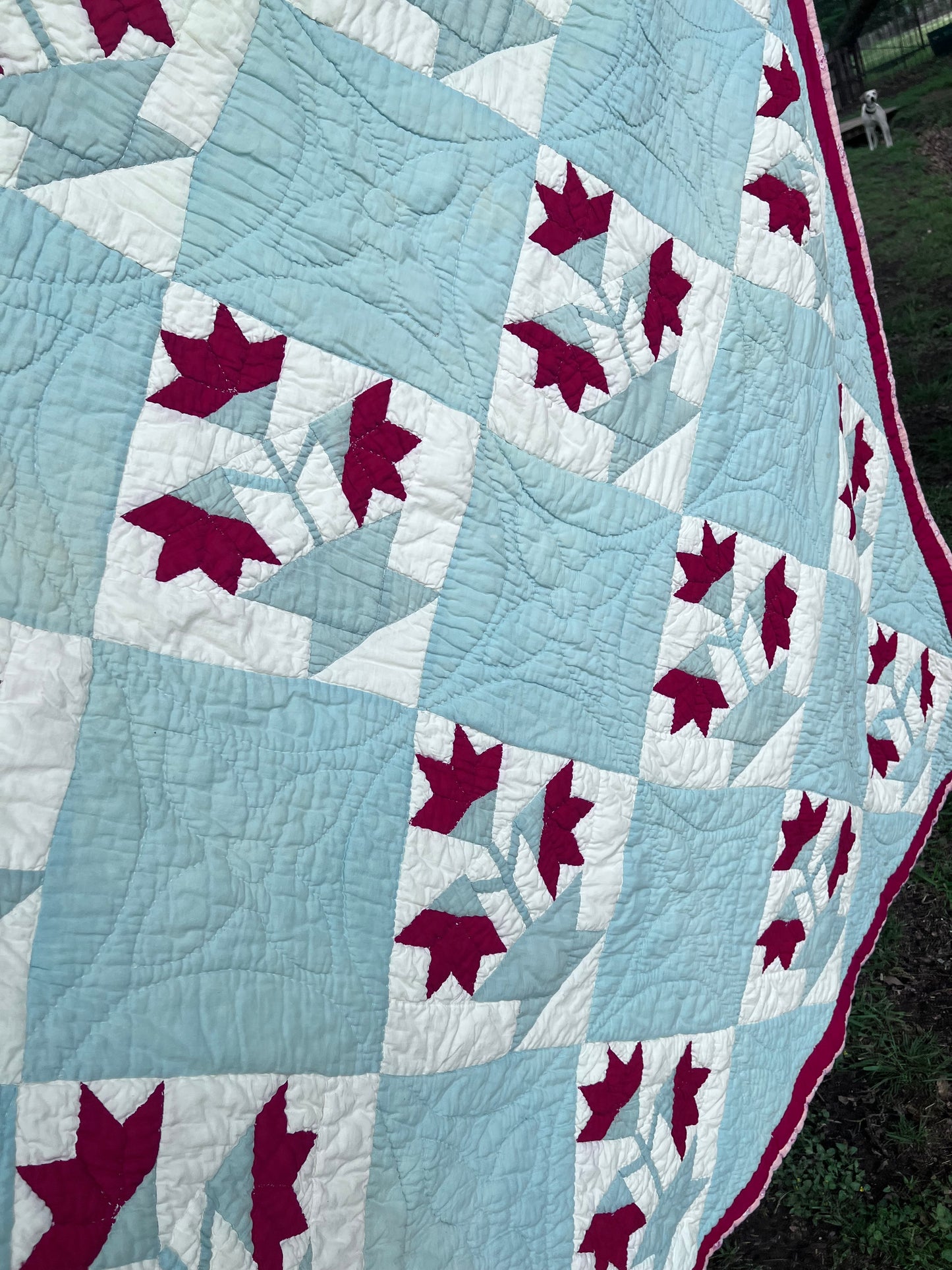 Classic Antique Carolina Lilly Vintage Quilt