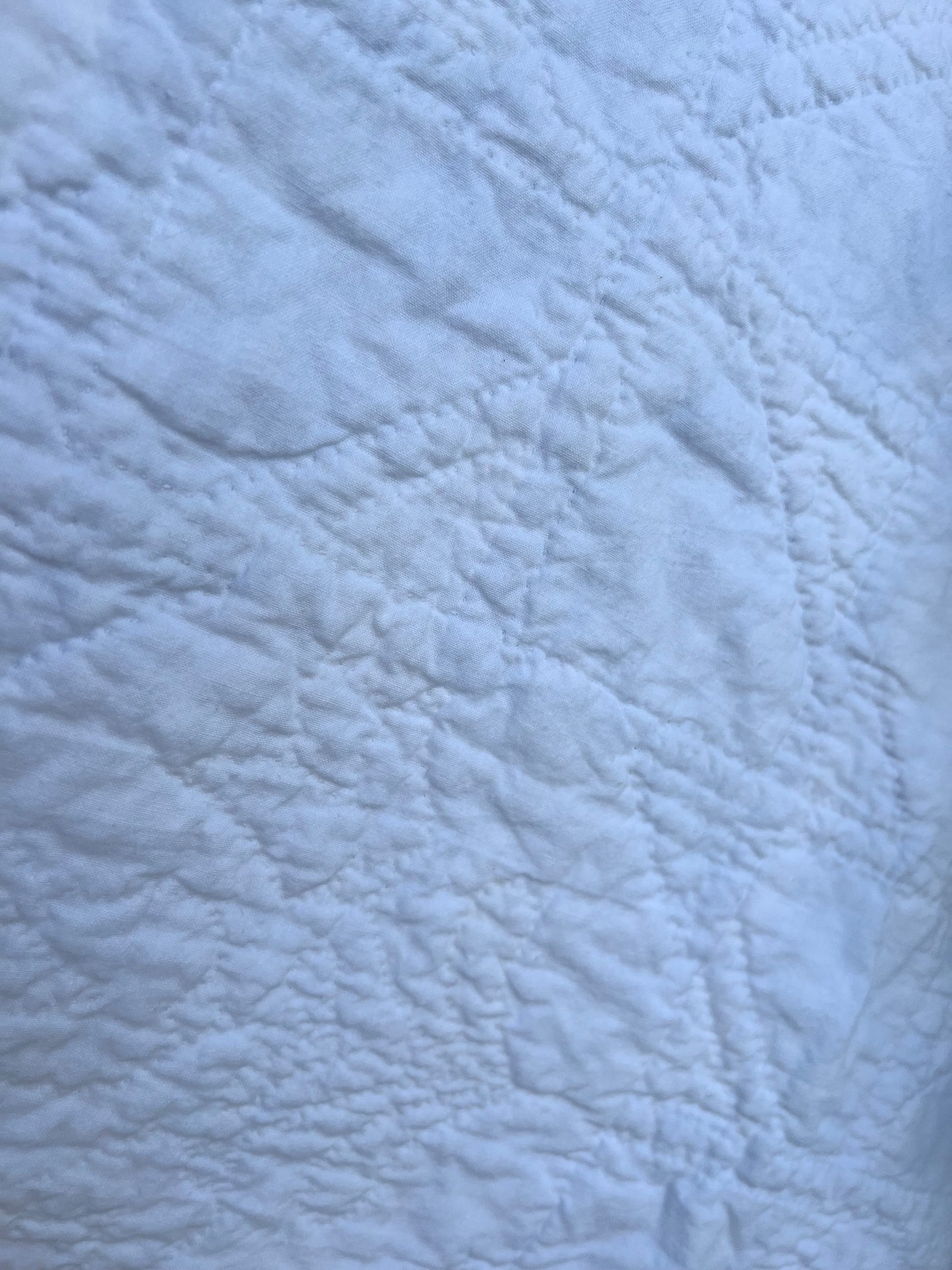 Blue & White twin size drunkards path with a sawtooth border has excellent hand quilting