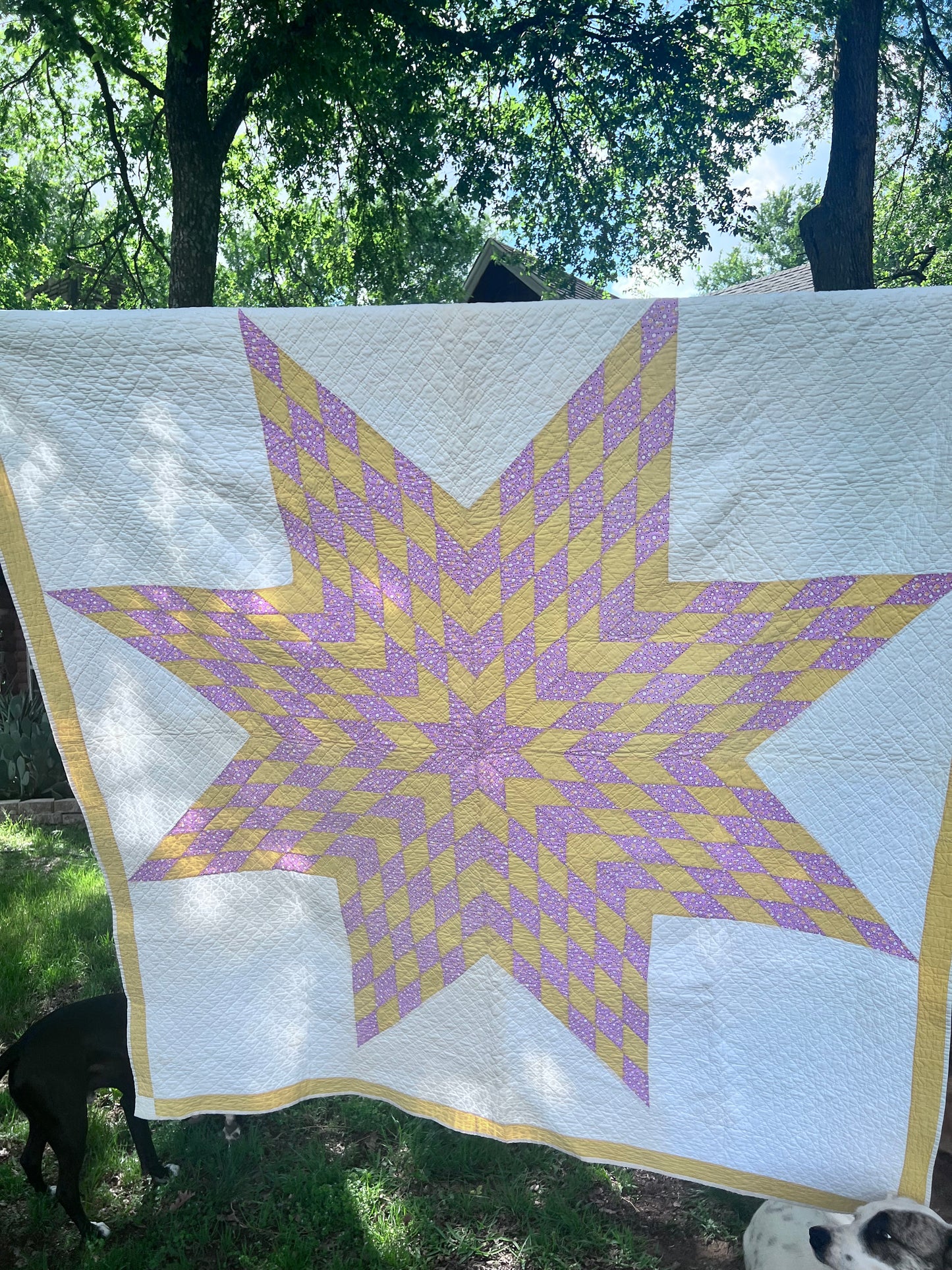Glorious lone star, a beautiful butter yellow and lavender purple combination antique quilt