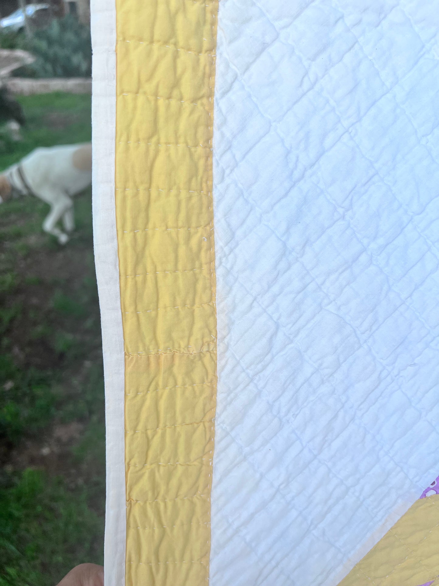 Glorious lone star, a beautiful butter yellow and lavender purple combination antique quilt