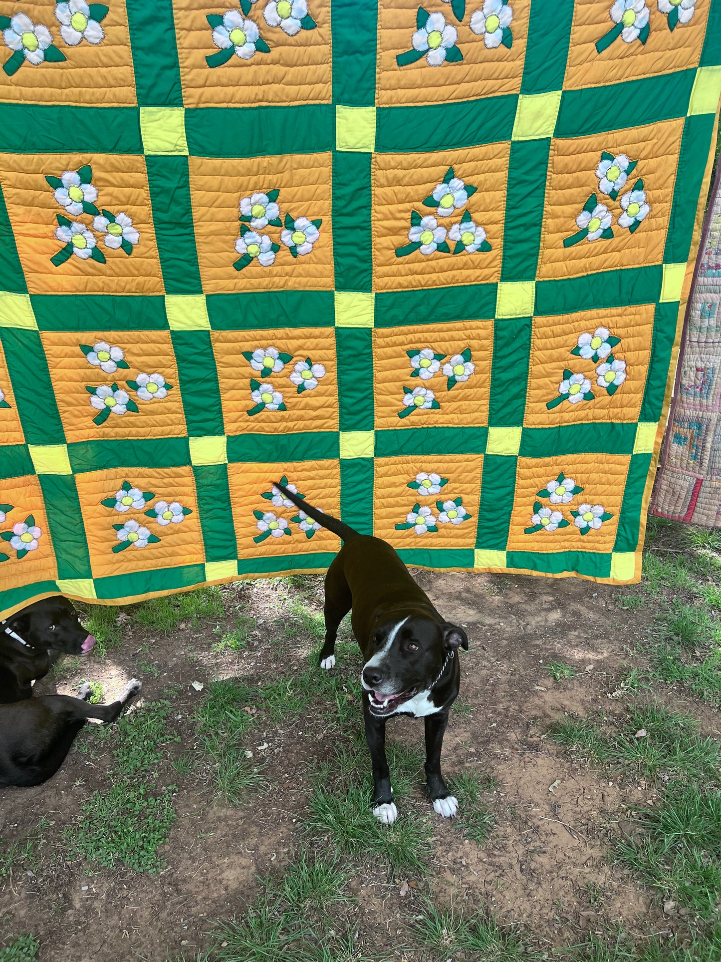 A stunning and unique dogwood floral appliqué quilt - King size
