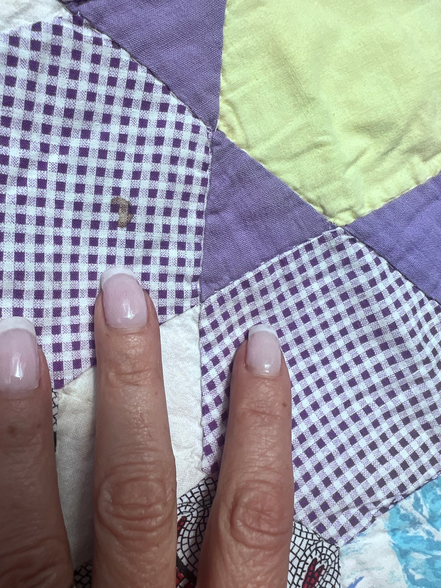 Gorgeous Vintage Quilt featuring Star of the West Block in a Floral Design