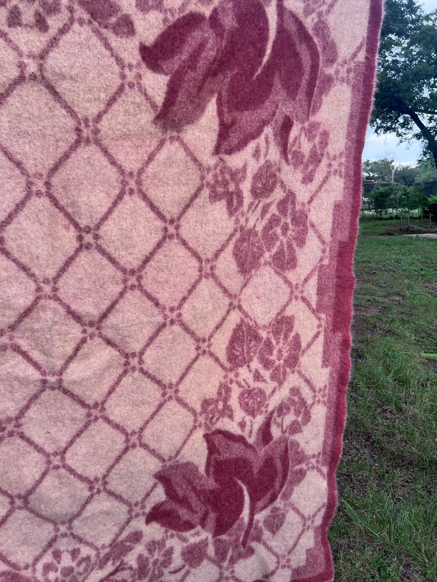 Vintage All-Wool Famous Holland Tulip Trade Blanket by Orr Felt & Blanket Co. GORGEOUS!
