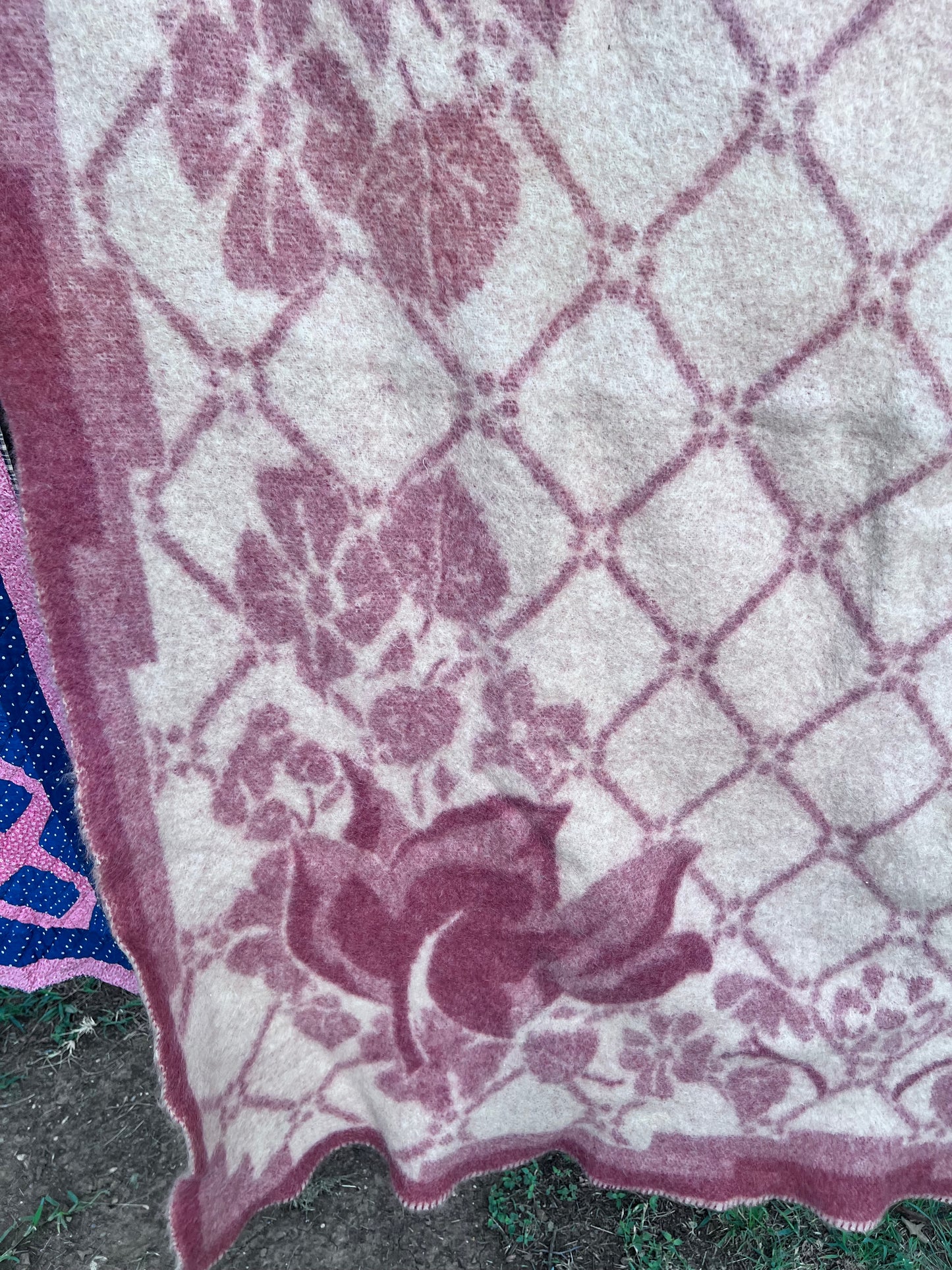 Vintage All-Wool Famous Holland Tulip Trade Blanket by Orr Felt & Blanket Co. GORGEOUS!