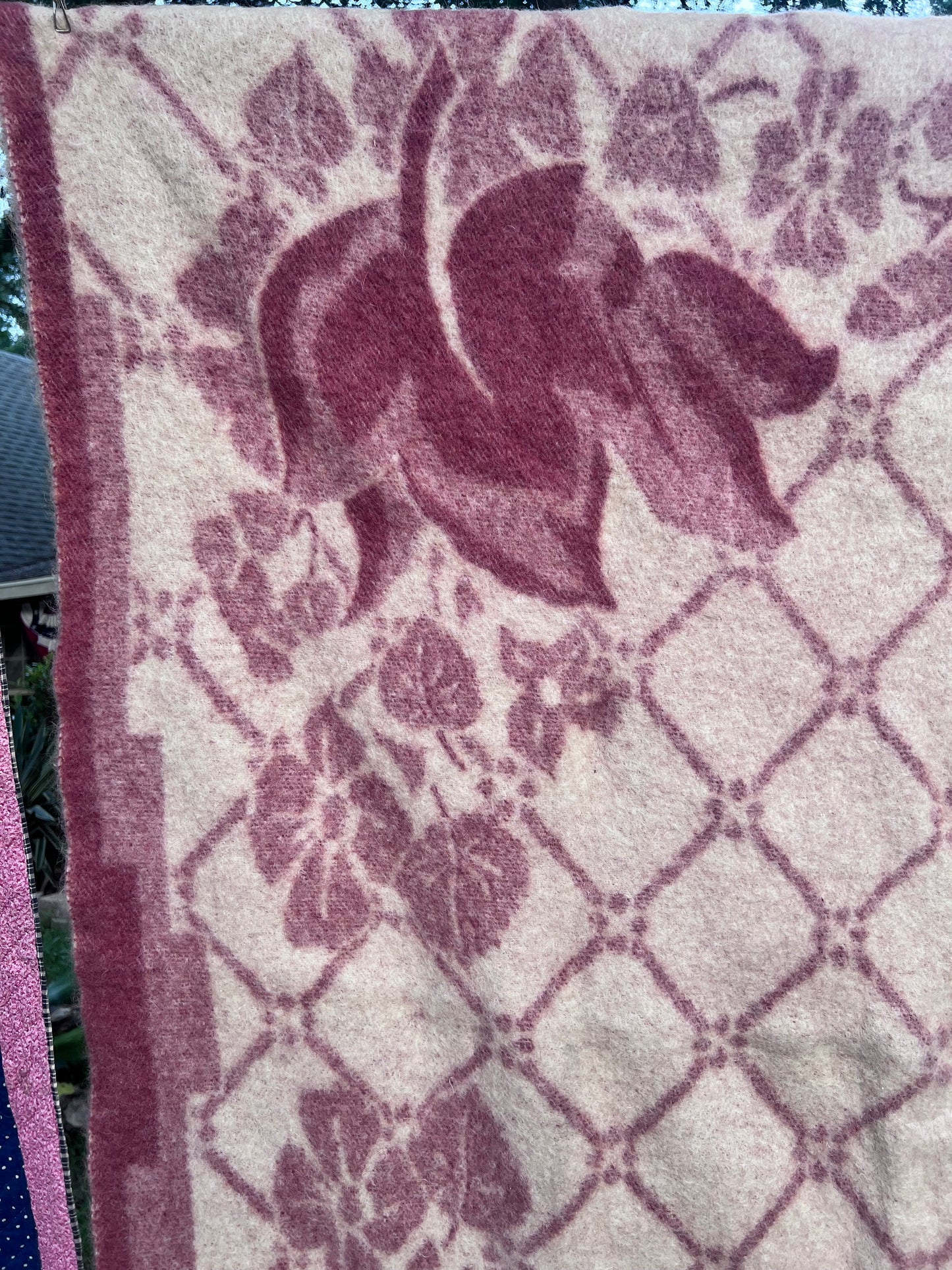 Vintage All-Wool Famous Holland Tulip Trade Blanket by Orr Felt & Blanket Co. GORGEOUS!