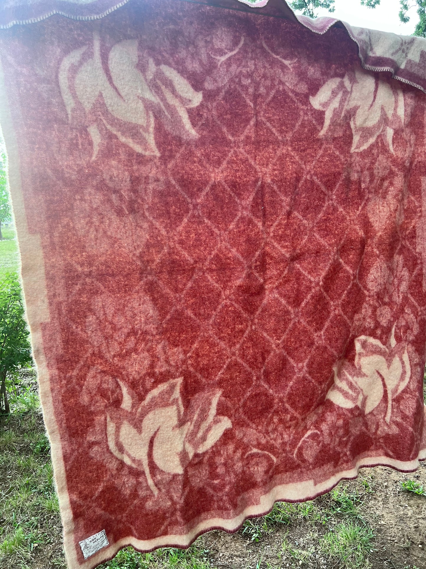 Vintage All-Wool Famous Holland Tulip Trade Blanket by Orr Felt & Blanket Co. GORGEOUS!