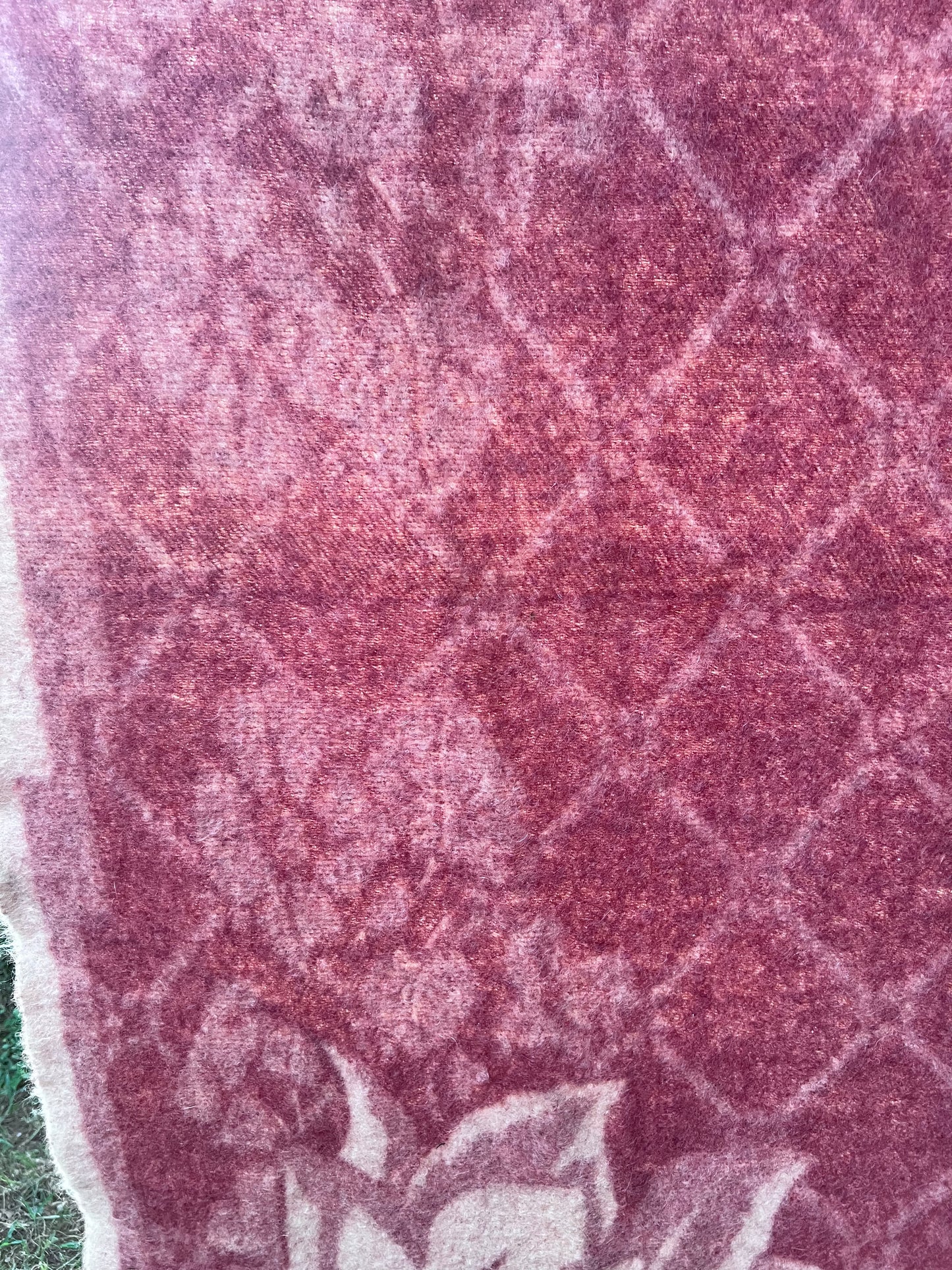 Vintage All-Wool Famous Holland Tulip Trade Blanket by Orr Felt & Blanket Co. GORGEOUS!