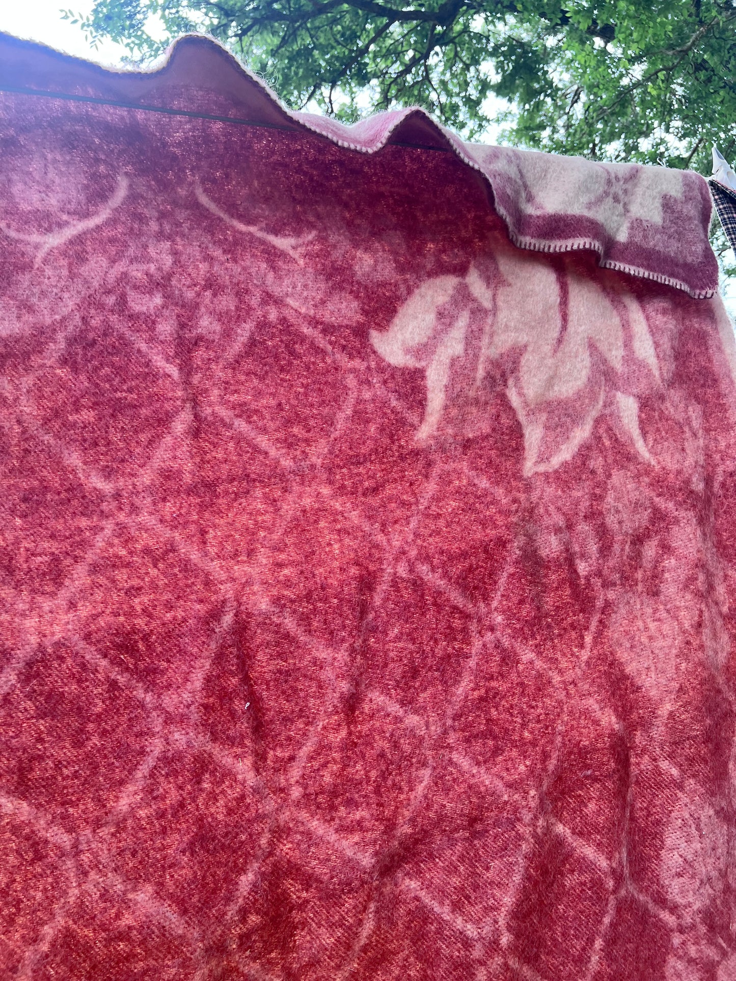 Vintage All-Wool Famous Holland Tulip Trade Blanket by Orr Felt & Blanket Co. GORGEOUS!