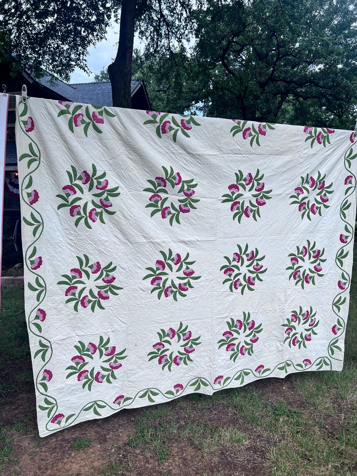 Rose of Sharon or Coxcomb Wreath, w/ a classic serpentine vine border - Kansas City Quilt Project Antique Quilt