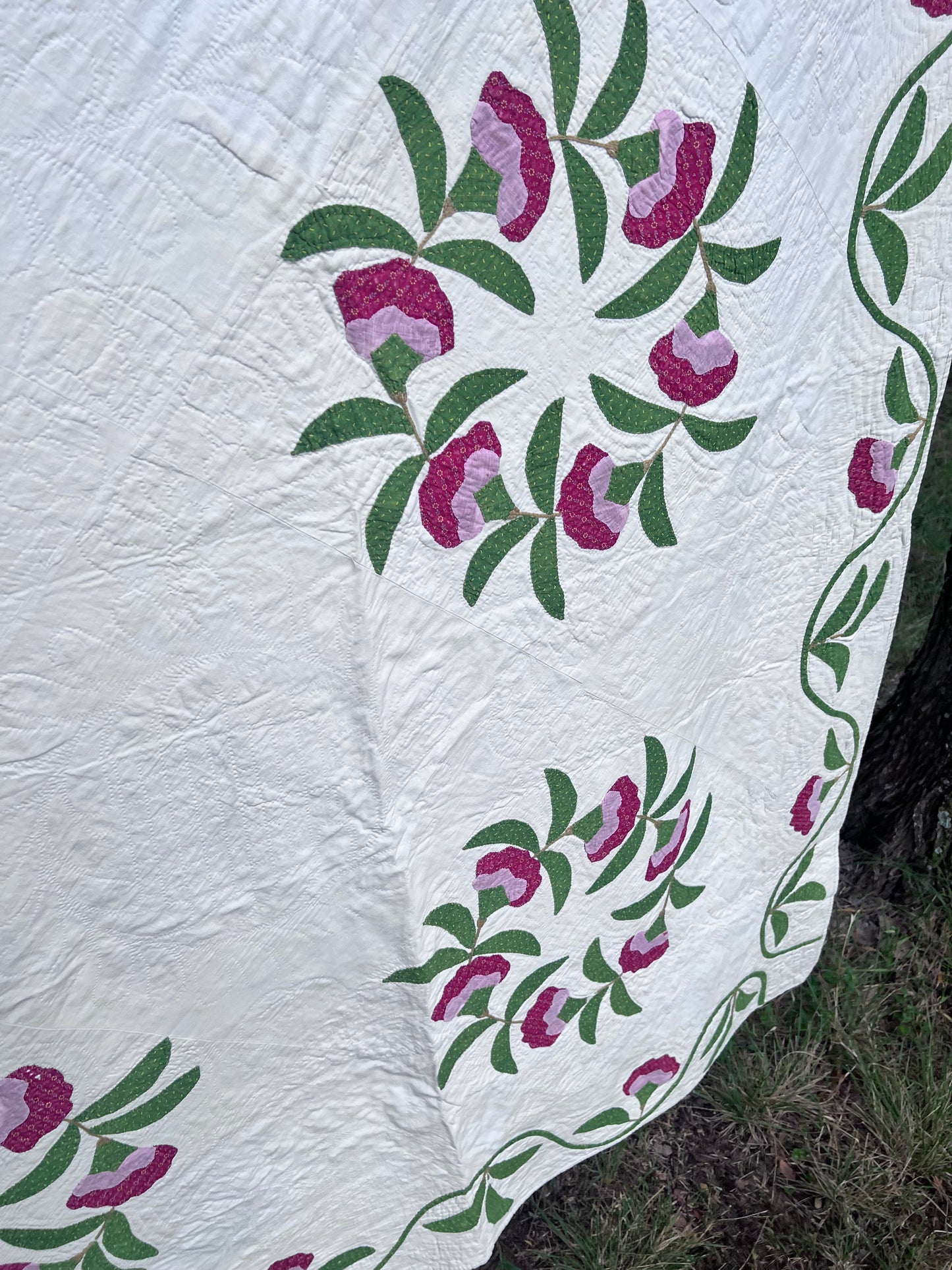 Rose of Sharon or Coxcomb Wreath, w/ a classic serpentine vine border - Kansas City Quilt Project Antique Quilt