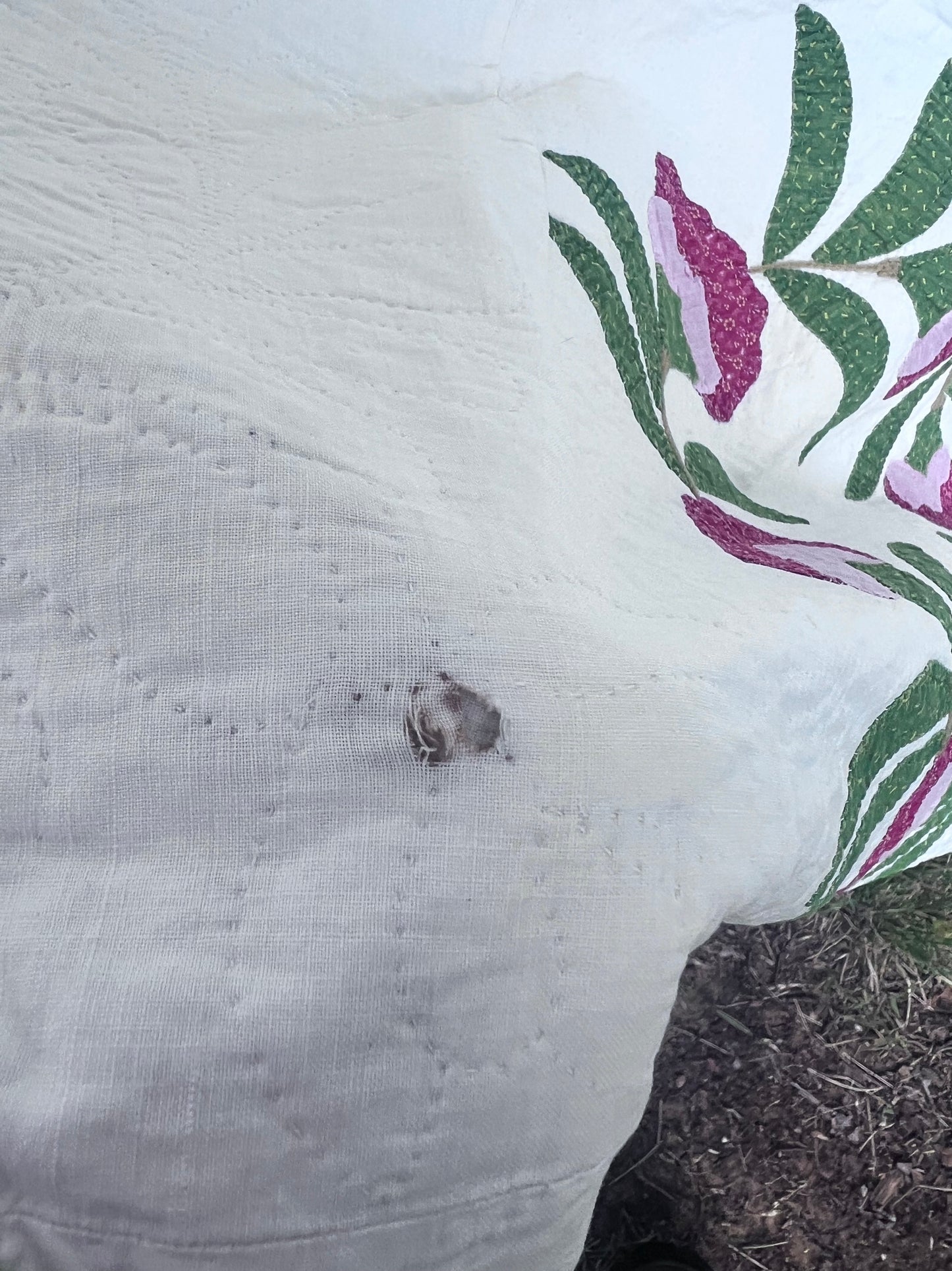 Rose of Sharon or Coxcomb Wreath, w/ a classic serpentine vine border - Kansas City Quilt Project Antique Quilt