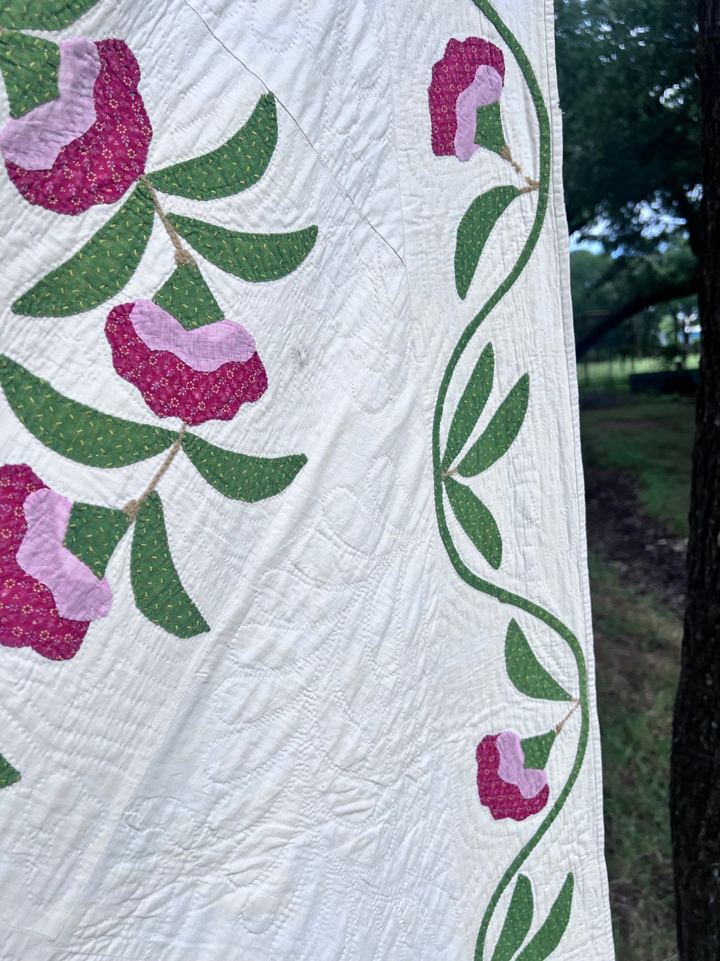 Rose of Sharon or Coxcomb Wreath, w/ a classic serpentine vine border - Kansas City Quilt Project Antique Quilt